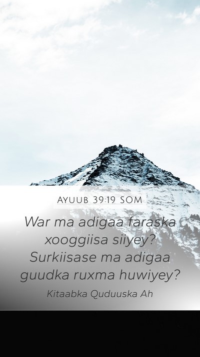 Ayuub 39:19 SOM Bible Verse Image