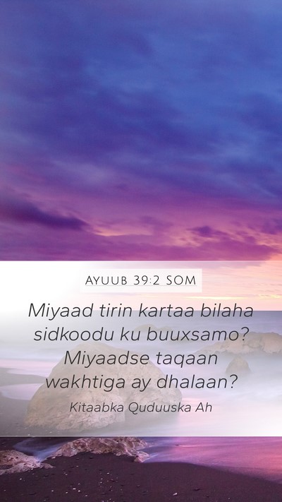 Ayuub 39:2 SOM Mobile Phone Wallpaper - Miyaad tirin kartaa bilaha sidkoodu ku buuxsamo? - Mobile Bible Verse Wallpaper