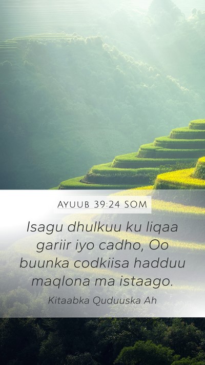 Ayuub 39:24 SOM Bible Verse Image