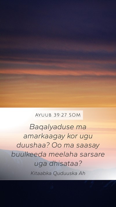 Ayuub 39:27 SOM Bible Verse Image