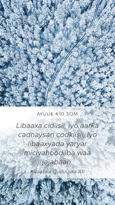Ayuub 4:10 SOM Bible Verse Image