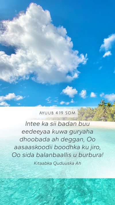 Ayuub 4:19 SOM Bible Verse Image