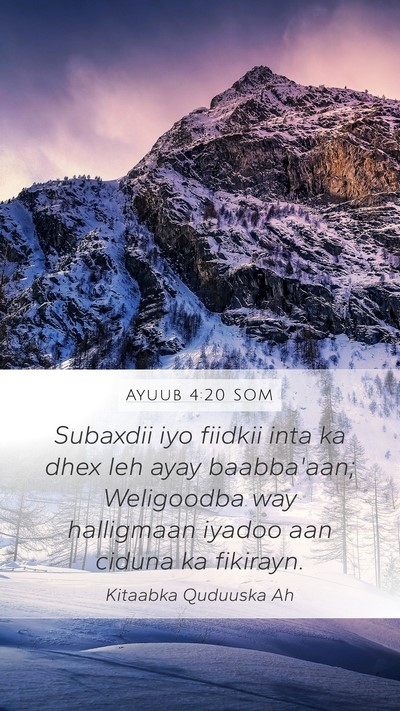 Ayuub 4:20 SOM Bible Verse Image