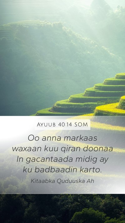 Ayuub 40:14 SOM Bible Verse Image