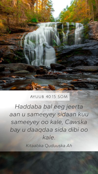 Ayuub 40:15 SOM Bible Verse Image