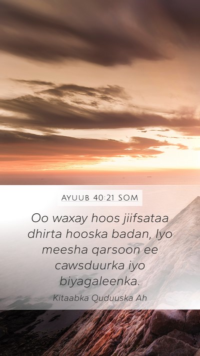 Ayuub 40:21 SOM Mobile Phone Wallpaper - Oo waxay hoos jiifsataa dhirta hooska badan, Iyo - Mobile Bible Verse Wallpaper