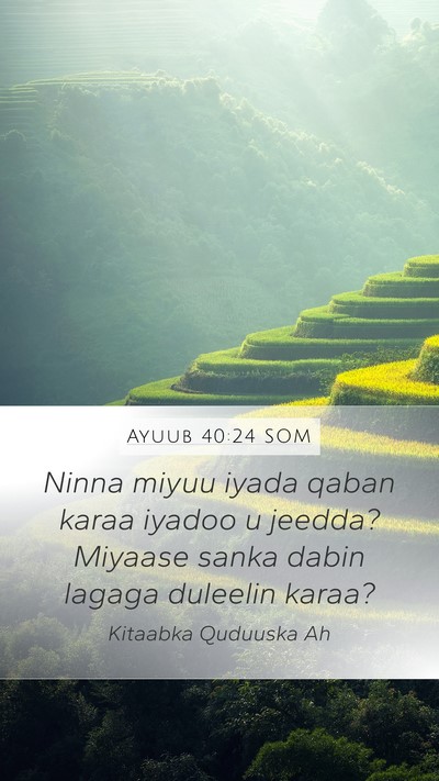 Ayuub 40:24 SOM Mobile Phone Wallpaper - Ninna miyuu iyada qaban karaa iyadoo u jeedda? - Mobile Bible Verse Wallpaper