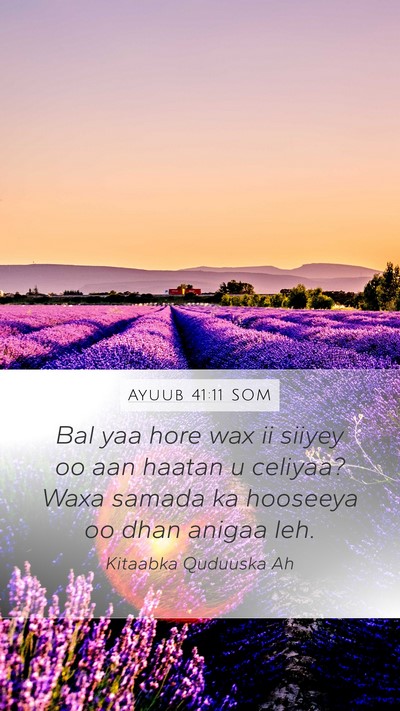 Ayuub 41:11 SOM Bible Verse Image