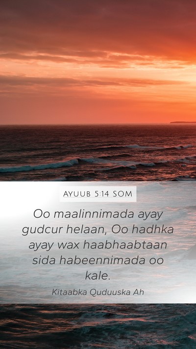 Ayuub 5:14 SOM Bible Verse Image