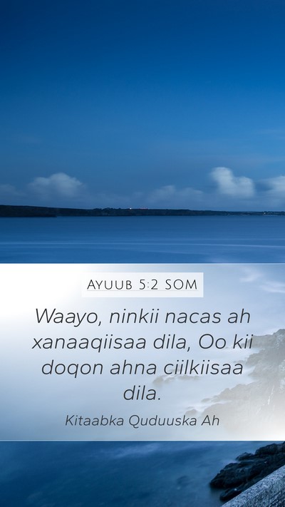 Ayuub 5:2 SOM Bible Verse Image