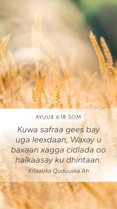 Ayuub 6:18 SOM Bible Verse Image