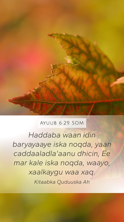 Ayuub 6:29 SOM Bible Verse Image