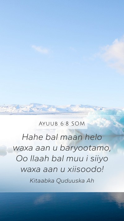 Ayuub 6:8 SOM Bible Verse Image