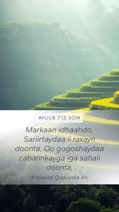 Ayuub 7:13 SOM Bible Verse Image