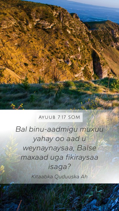 Ayuub 7:17 SOM Bible Verse Image