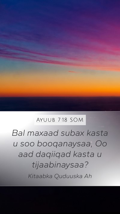Ayuub 7:18 SOM Mobile Phone Wallpaper - Bal maxaad subax kasta u soo booqanaysaa, Oo aad - Mobile Bible Verse Wallpaper