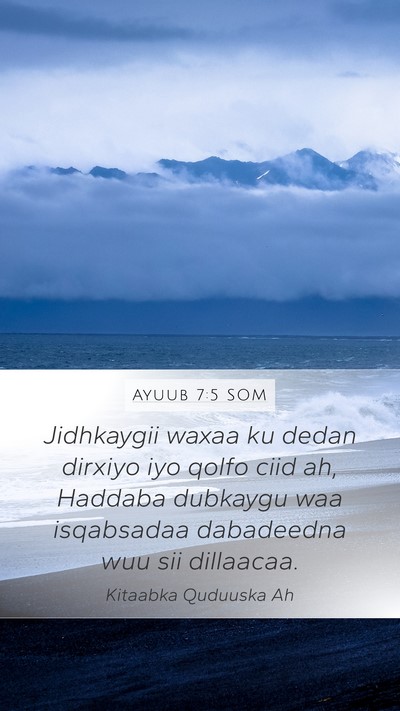Ayuub 7:5 SOM Bible Verse Image