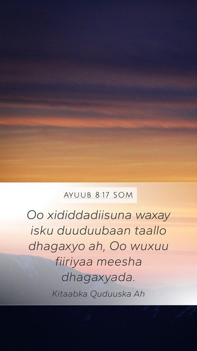 Ayuub 8:17 SOM Mobile Phone Wallpaper - Oo xididdadiisuna waxay isku duuduubaan taallo - Mobile Bible Verse Wallpaper