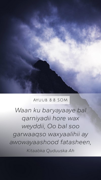 Ayuub 8:8 SOM Bible Verse Image