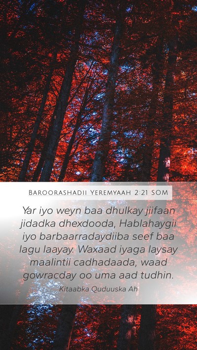 Baroorashadii Yeremyaah 2:21 SOM Bible Verse Image