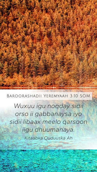 Baroorashadii Yeremyaah 3:10 SOM Bible Verse Image