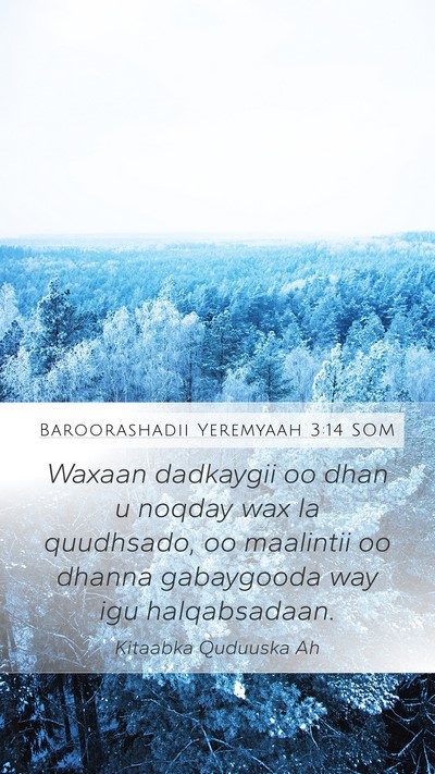 Baroorashadii Yeremyaah 3:14 SOM Bible Verse Image