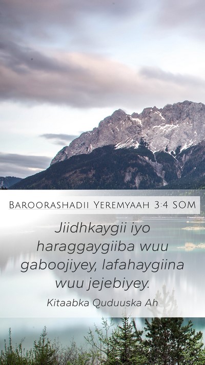Baroorashadii Yeremyaah 3:4 SOM Bible Verse Image