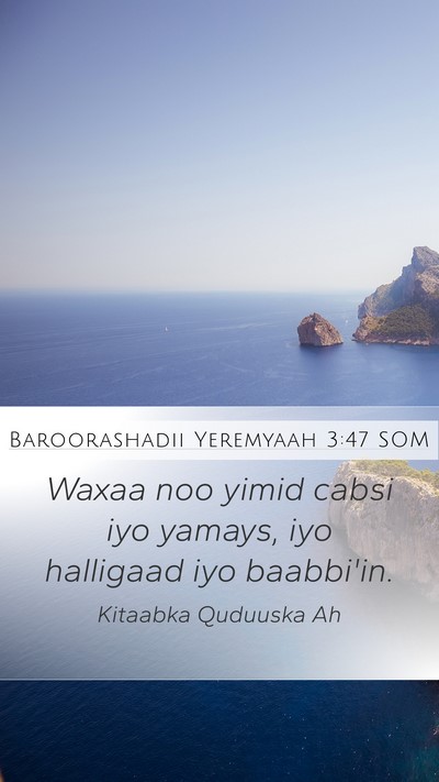 Baroorashadii Yeremyaah 3:47 SOM Bible Verse Image