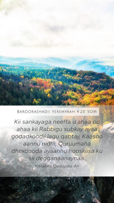 Baroorashadii Yeremyaah 4:20 SOM Bible Verse Image