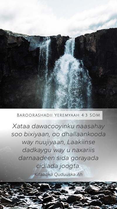 Baroorashadii Yeremyaah 4:3 SOM Bible Verse Image
