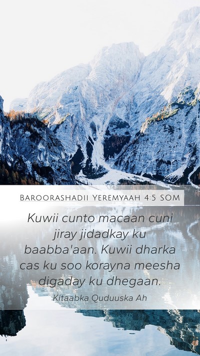 Baroorashadii Yeremyaah 4:5 SOM Bible Verse Image