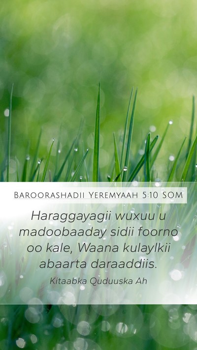 Baroorashadii Yeremyaah 5:10 SOM Bible Verse Image