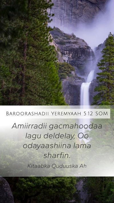 Baroorashadii Yeremyaah 5:12 SOM Bible Verse Image