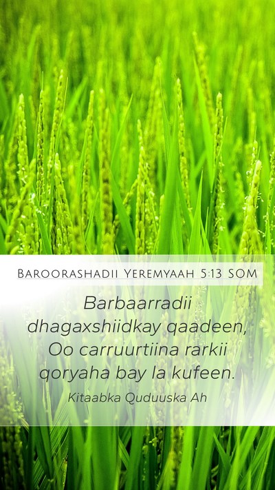 Baroorashadii Yeremyaah 5:13 SOM Bible Verse Image