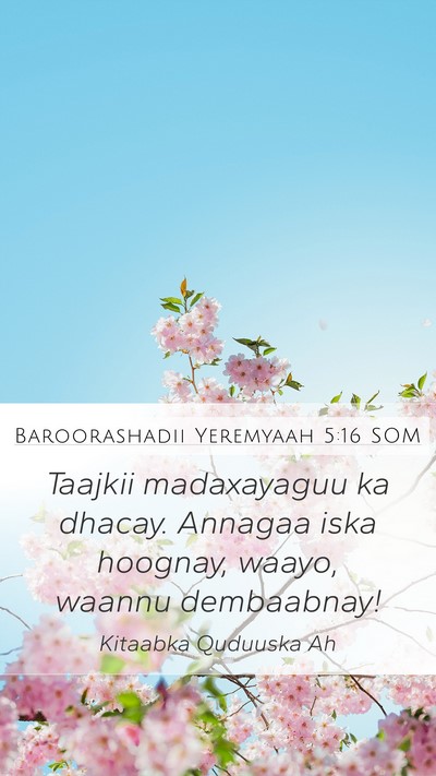 Baroorashadii Yeremyaah 5:16 SOM Bible Verse Image