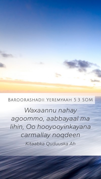Baroorashadii Yeremyaah 5:3 SOM Bible Verse Image