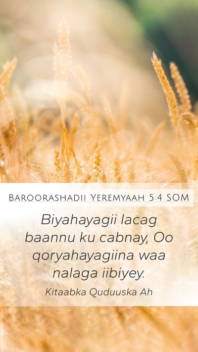 Baroorashadii Yeremyaah 5:4 SOM Mobile Phone Wallpaper - Biyahayagii lacag baannu ku cabnay, Oo - Mobile Bible Verse Wallpaper