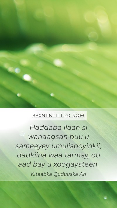 Baxniintii 1:20 SOM Bible Verse Image