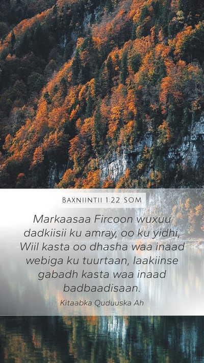 Baxniintii 1:22 SOM Bible Verse Image