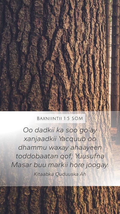 Baxniintii 1:5 SOM Bible Verse Image