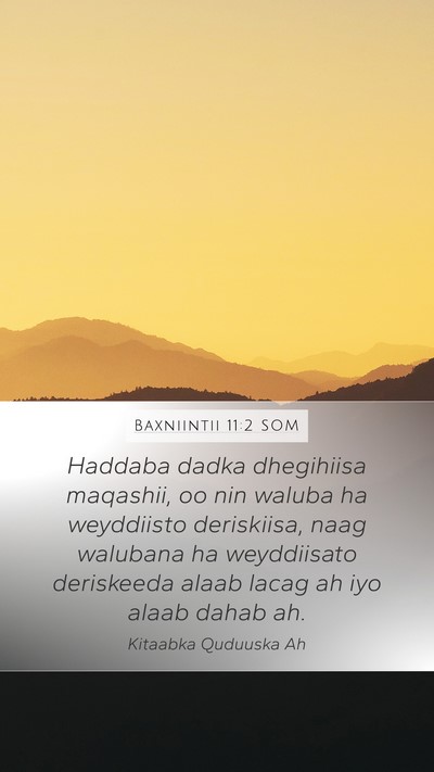 Baxniintii 11:2 SOM Bible Verse Image