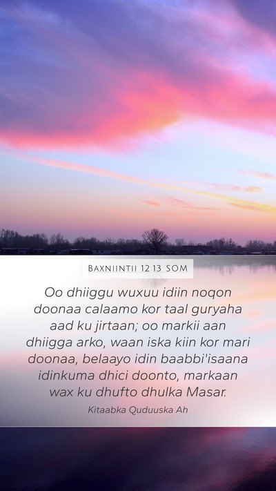Baxniintii 12:13 SOM Bible Verse Image