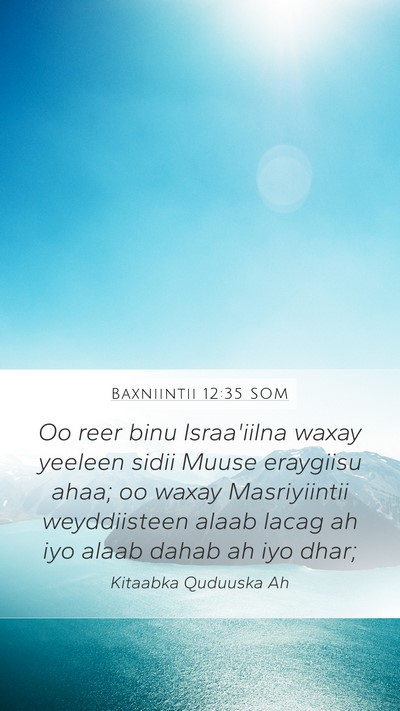 Baxniintii 12:35 SOM Bible Verse Image