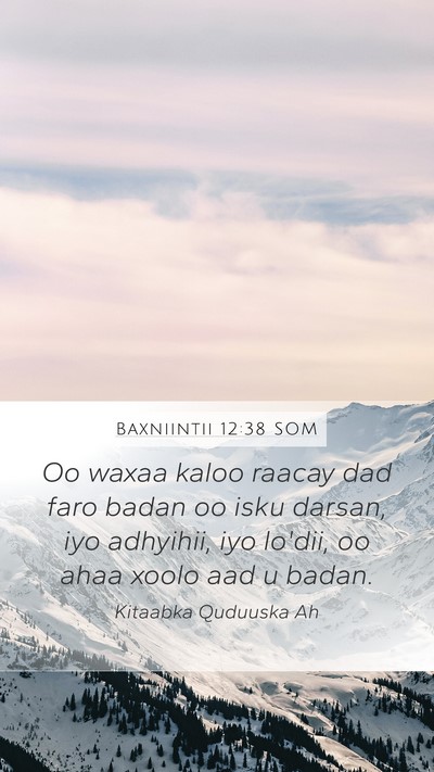 Baxniintii 12:38 SOM Bible Verse Image