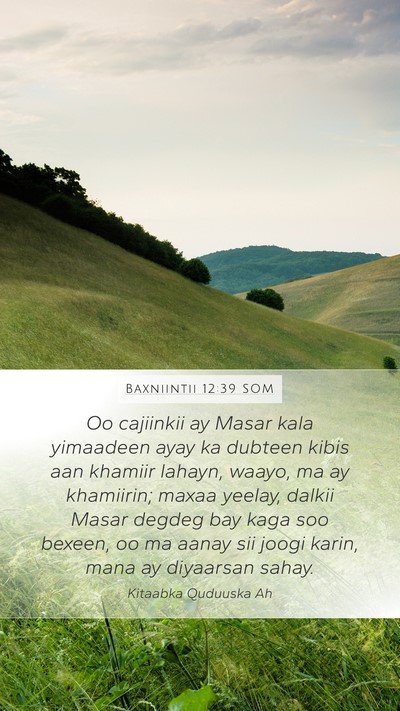 Baxniintii 12:39 SOM Bible Verse Image