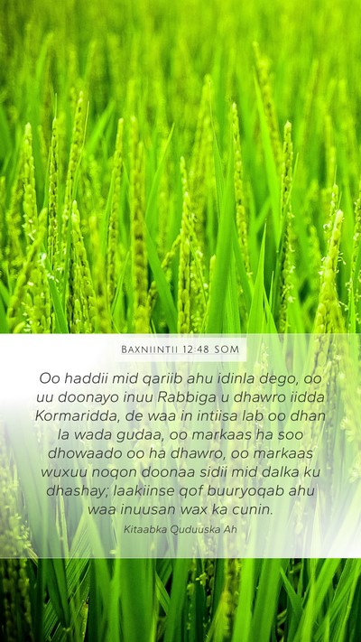 Baxniintii 12:48 SOM Bible Verse Image