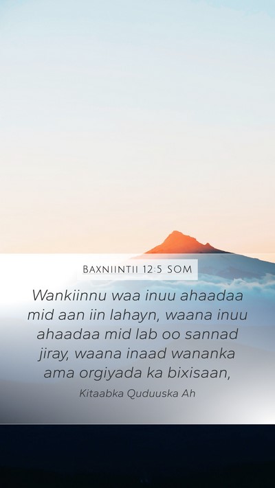 Baxniintii 12:5 SOM Bible Verse Image