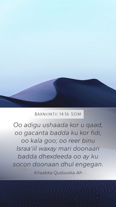 Baxniintii 14:16 SOM Bible Verse Image