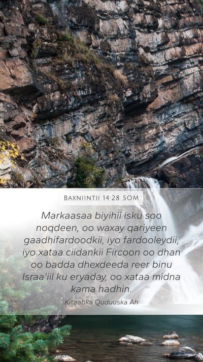 Baxniintii 14:28 SOM Bible Verse Image