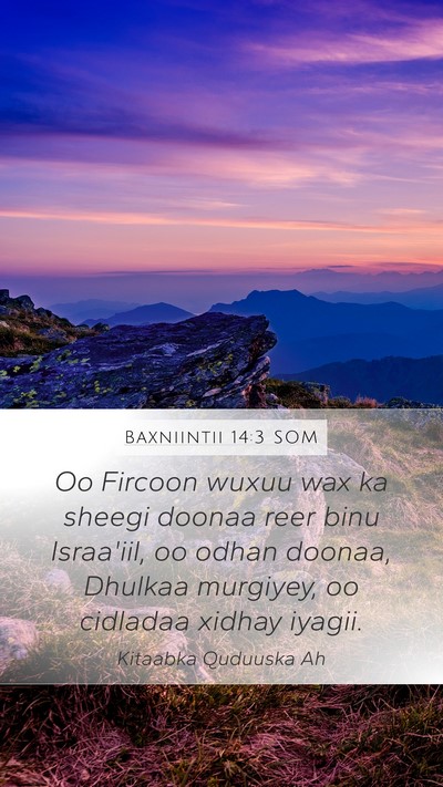 Baxniintii 14:3 SOM Bible Verse Image